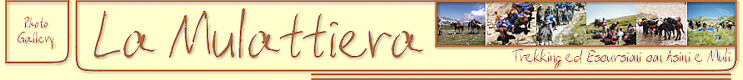 Click for Home