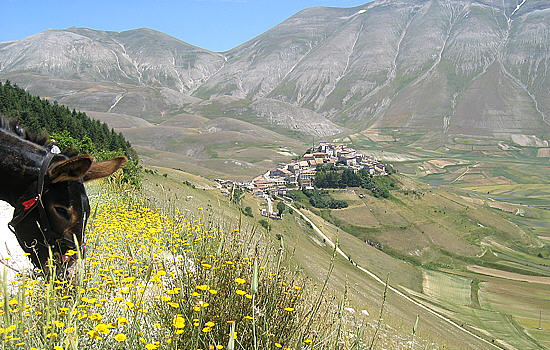 Castelluccio di Norcia