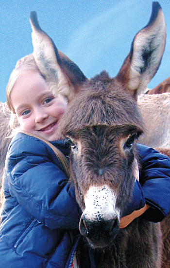Bambini e Asini