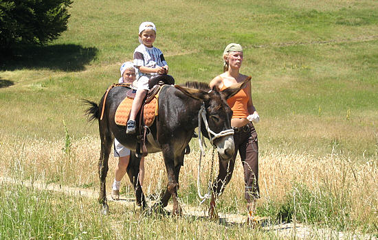 Bambini e Asini