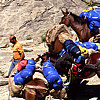 Monti Laga Trekking Muli