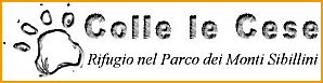 www.rifugiocollelecese.it