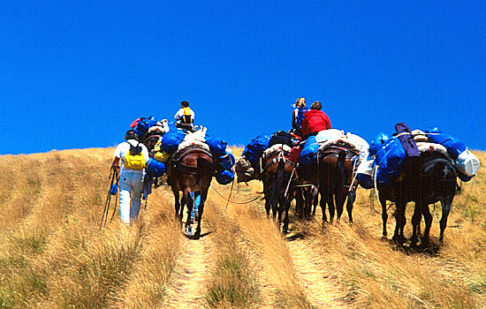 Trekking nei Sibillini