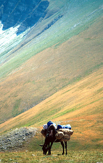 Parco Sibillini in Umbria