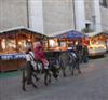 Passeggiate con l'asino nel mercatino di natale del Trentino